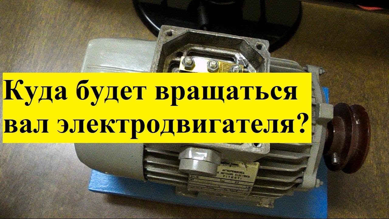 Почему гудит двигатель автомобиля